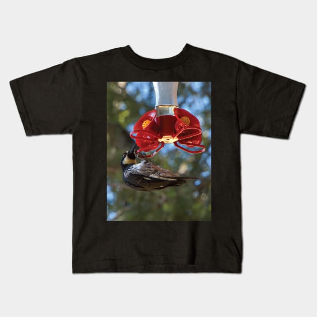 Acorn Woodpecker Raiding A Hummingbird Feeder Kids T-Shirt by DPattonPD